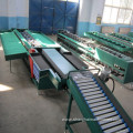 fruit screw tomato grading sorting machine with conveyor